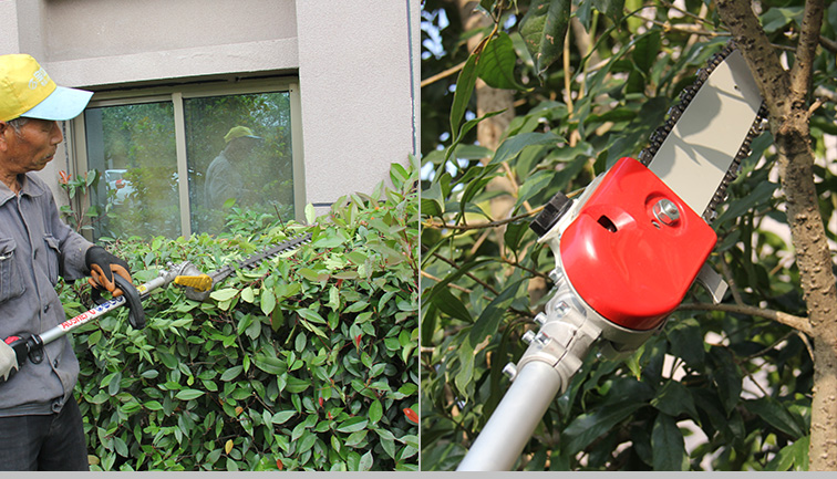 Quelles sont les compétences de coupe d’outils dans l’entretien du jardin ?